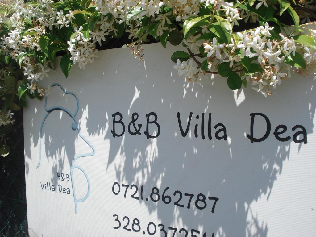 Villa Dea Fano Exteriér fotografie